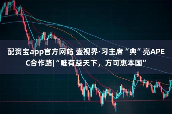 配资宝app官方网站 壹视界·习主席“典”亮APEC合作路|“唯有益天下,方可惠本国”