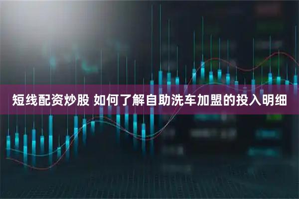 短线配资炒股 如何了解自助洗车加盟的投入明细